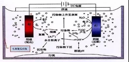 我買了一個甲醛檢測儀，吹口氣后發(fā)現(xiàn)原來我才是“地表最強”污染源！