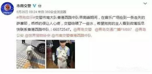 有問(wèn)題找警察，薩摩耶派出所報(bào)案，不注意這件事，對(duì)狗狗致命，警察蜀黍卻幫不上忙！