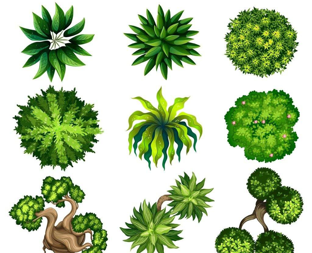 可以凈化室內空氣的植物，這二十種您需要好好了解一下！
