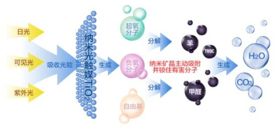 洋蔥可以除甲醛？民間流傳土方法可信嗎？
