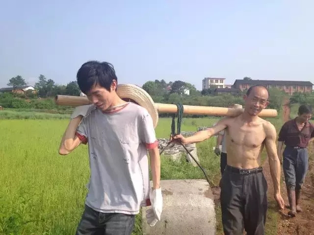 青春是用來奮斗的，除甲醛的青春最美麗！