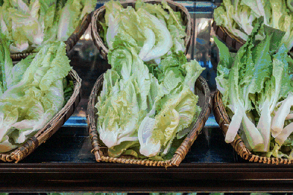 夏至高溫預(yù)警！消暑養(yǎng)生秘笈了解一下？