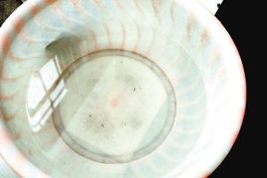 疫苗事件背后：您是否想過除甲醛產(chǎn)品也存在無效情況？