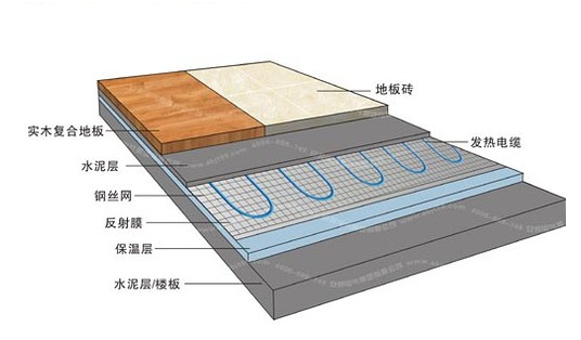 冬季，它們成了甲醛的幫兇