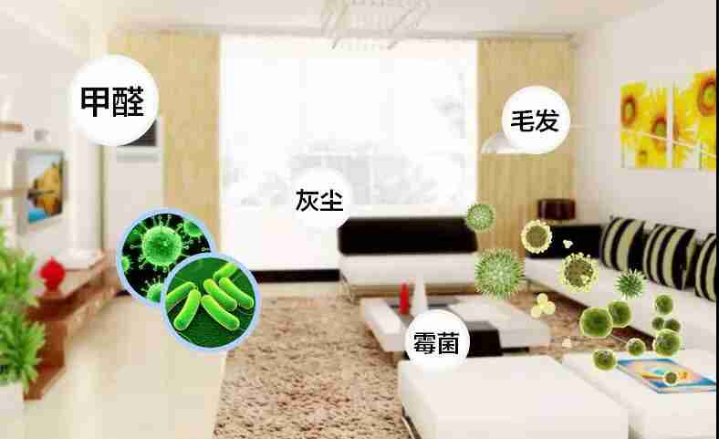 網(wǎng)上的除甲醛好辦法真的有效嗎？原理是什么