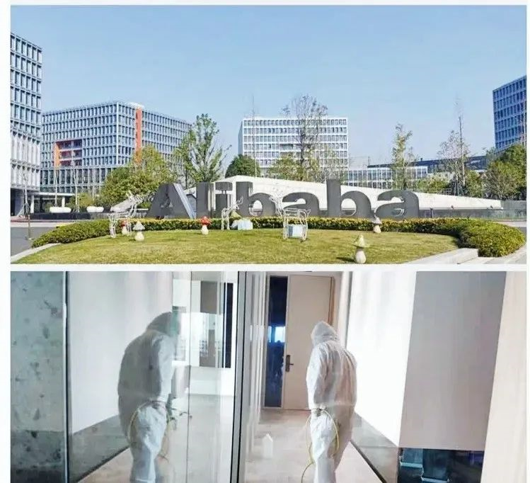 吾志所向，一往無前 | 創(chuàng)綠家2020年大事記