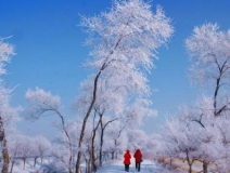 如何解決冬季室內(nèi)和車內(nèi)環(huán)境污染問題的問題呢？