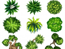 可以凈化室內(nèi)空氣的植物，這二十種您需要好好了解一下！