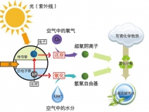 什么甲醛治理辦法效果好持續(xù)時間長？