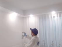 什么辦法去除甲醛比較好？