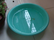 裝修完僅靠?jī)膳枥渌湍艹兹?？這個(gè)說法連網(wǎng)友都出來辟謠！大家別再相信了！