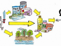 食品中有塑化劑嗎？這些食品中含有大量塑化劑，食用時一定要注意！