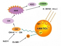 寶寶過敏，“罪魁禍首”是通風除甲醛不徹底
