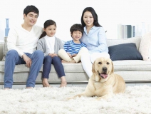 家里甲醛超標怎么辦，受污染影響的人群有哪些