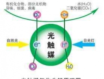 您知道或者聽說過光觸媒嗎？