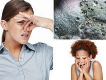 家里有異味怎么辦？科學(xué)除味、治理甲醛就對(duì)了！