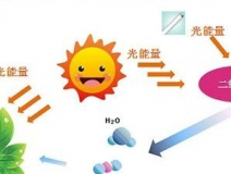 無光觸媒和光觸媒有什么區(qū)別？
