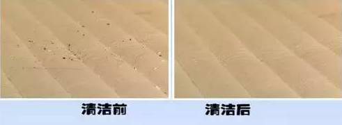 南京美女睡了10年的床墊，掀開后把全家人都嚇傻了……