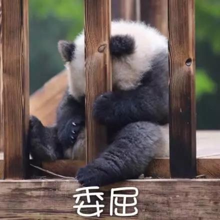 別大意！七大除甲醛“誤區(qū)”，信了你反而會(huì)生病！通風(fēng)、綠植、活性炭、熏蒸……你中招了嗎？