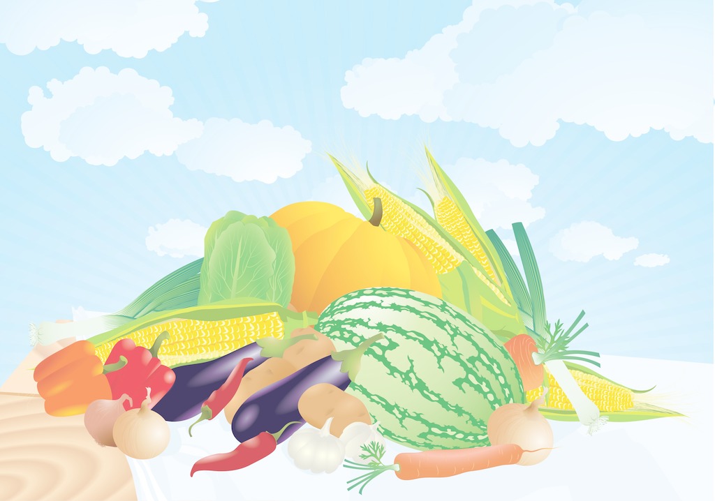 夏季找除甲醛公司有哪些需要注意的？
